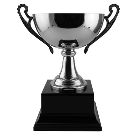 Steel Bowl Trophy Cup